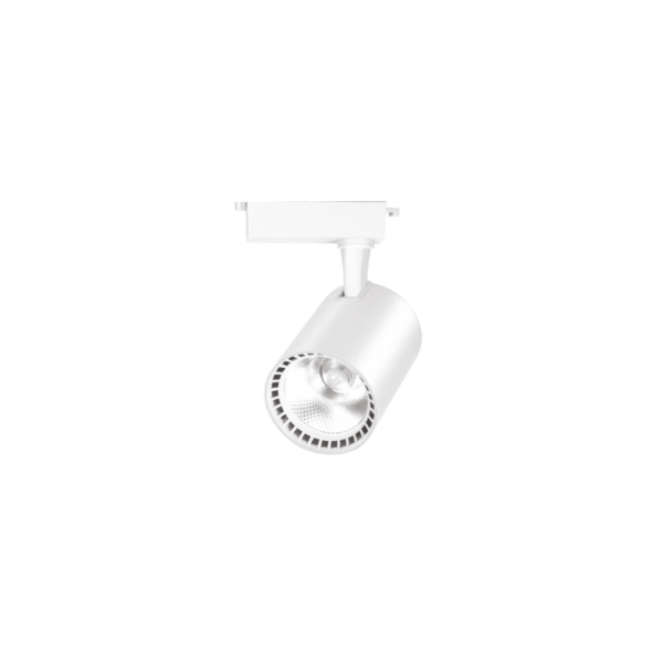 Ray Spot
