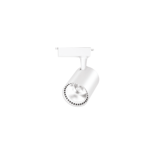 Ray Spot