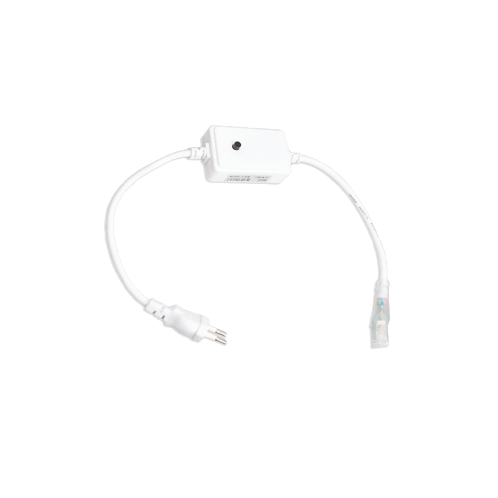 220V Strip LED RGB Remote Plug