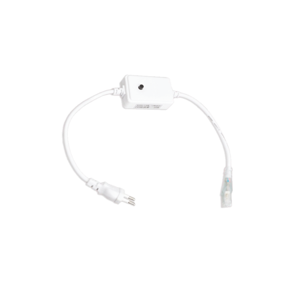 220V Strip LED RGB Remote Plug