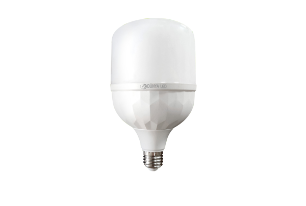 Torch Bulb