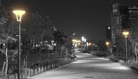 Park ve Bahce
